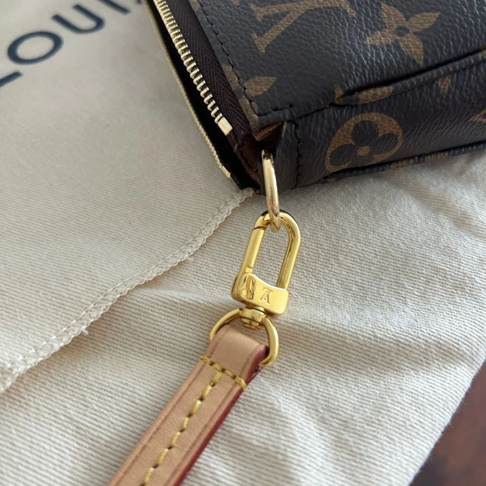 Louis Vuitton Mini Bag in Brown with Gold Accents - Picture 4 of 14